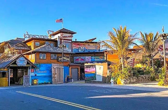 Kasa Ocean